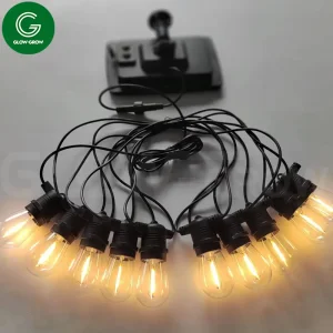 Stainless Steel Solar Lights