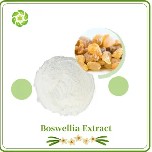 Extrato de Planta de Bem-Estar Mundial Alimento Saudável Ácido Boswellico 65% 90% 95%/Boswellia Extrato