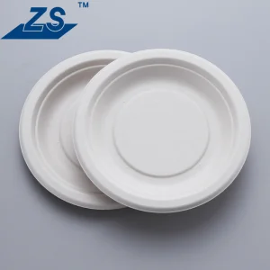 7 Inch Compostable Disposable Paper Plates