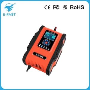 Smart 12V 24V Charger