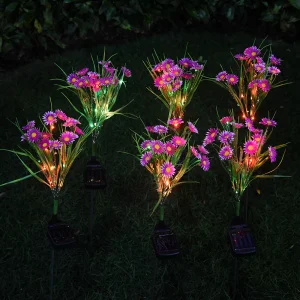 Solar Chrysanthemum Flower Light