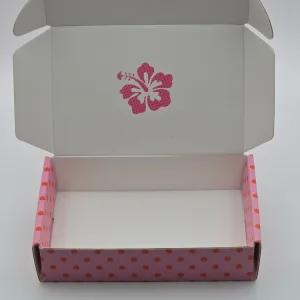 Cheap Recycled Corrugated Custom Shipping Carton Packaging Kraft Natural Insert Subscription Gift Postal Package Box Paper Box
