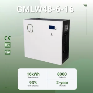 Hogar 10kwh 51.2V
