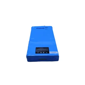 High-Quality Flat design light weight 24V 10Ah