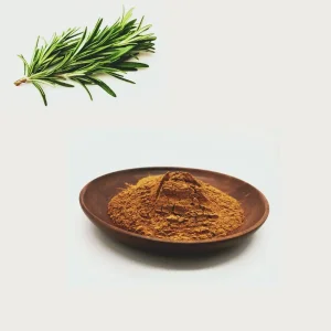 Best Carnosic Acid Powder