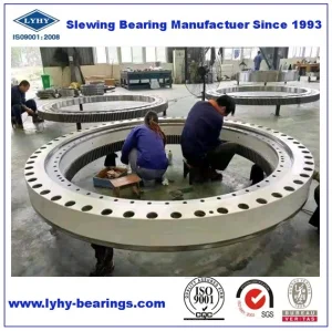 Internal Gear Slewing Bearing