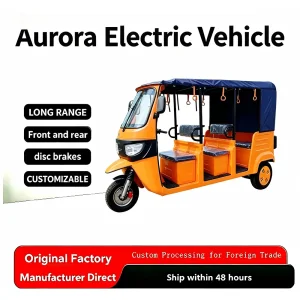 ODM Tourist Electric Tricycle