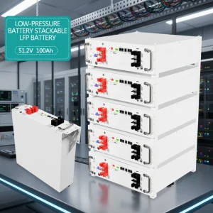 Energy Storage Battery 51.2V 100AH 5KWH Solar Batteries Lithium Ion House System Cost of Solar Batteries