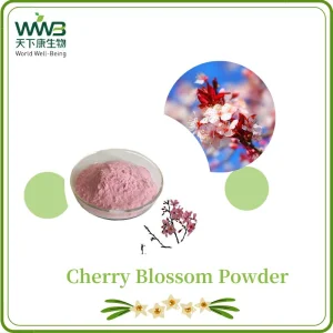World Well-Being Plant Extract/Soft Drink/Extract Powder/99% Cherry Blossom Juice Powder/Cherry Blossoms Powder/Sakura Cherry Blossom Powder