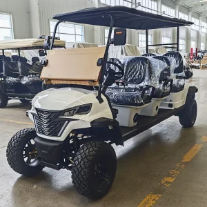SeeWorld 6 Passenger Electric Golf Cart High Lifted