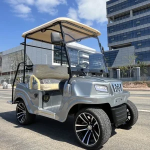 2025 Parison Electric Golf Cart
