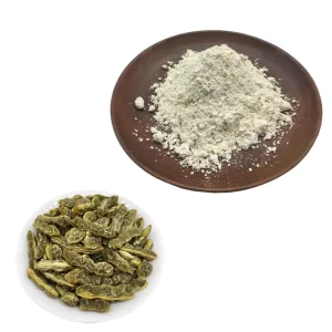 Wholesale Sophora Japonica Fruit Extract Sophoricoside