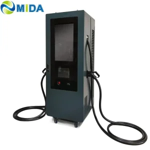 60kw DC Adversting Charging Station with 2 Guns IP54 CCS1 CCS2 Gbt Chademo Standard