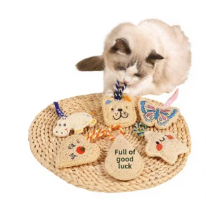 Cat Toy Pendant Loofah Sponge Chew