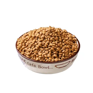 Premium Salmon Dog Food for Healthy Coats and Muscle Growth