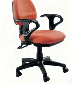 Adjustable Training Chair