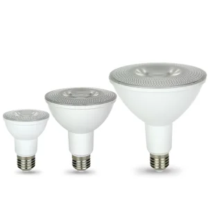 LED Bulb PAR38