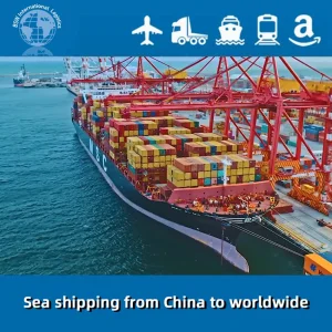 Ocean Freight Forwarder Sea Shipping From China to Funafuti Tuvalu/Norfolk Island/Tarawa Kiribati/Wallis Islands/Hamilton Bermuda/Belize City/Cayenne Guyane