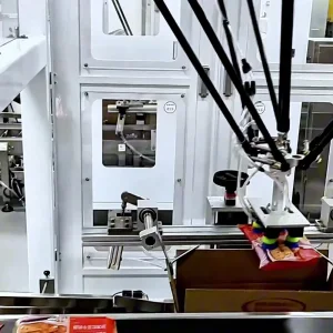 Sanitary Delta Integrated Cartoning Line for Ready Meal Foil Pouch Sealing