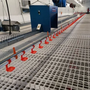 Advanced Poultry Breeder Feeding System for Optimal Growth