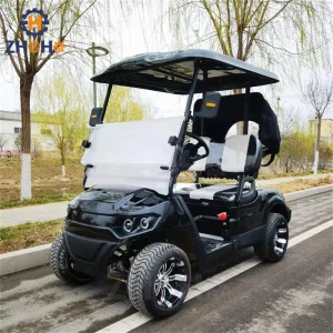 New Hot Sale 2 Seat Electric Golf Cart Mini Club Car Pick up Sightseeing Go Kart
