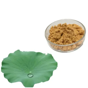 Lotus Leaf Extract Nuciferine Powder