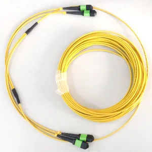 MPO Patch Cable