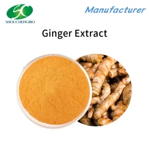 100% Pure Nature Oragnic Ginger Root Extract Powder Sw Flavor
