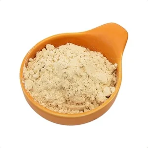 High Quality Food Grade Yeast Protein Powder 55% Min Purity Premium Nutrition Enhancer