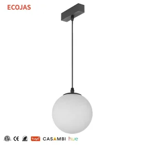 ECOJAS LED Magnetic Track Light System