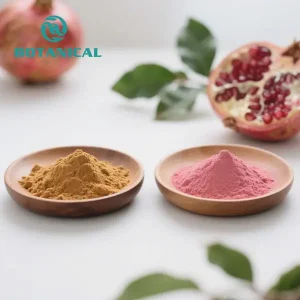 ODM Punica granatum fructus extract Suppliers, Manufacturers