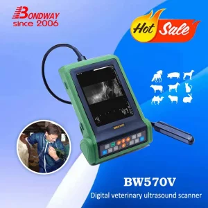 Bondway Bw570V Medical Supply Veterinary Ultrasound Scanner Vet Reproduction Ultrasonic Imaging System