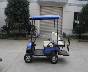 Mini 2 Seater Folding Electric Golf Cart