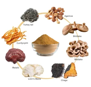 Herbal Mushroom Extract Powder USDA Organic