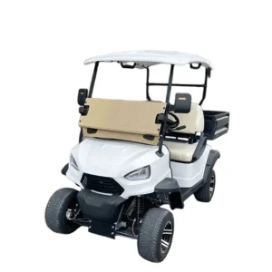 2025 2 Seats Golf Cart with Cargo Bucket