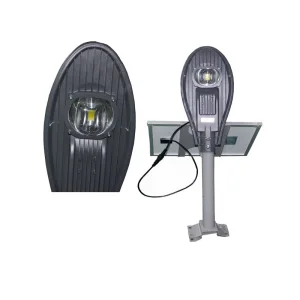 Lâmpada Solar Dividida 100W 200W
