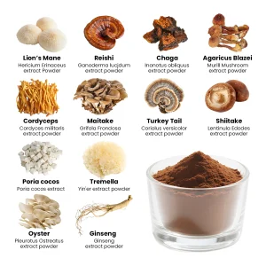 Lions Mane Cordyceps Extract Powder