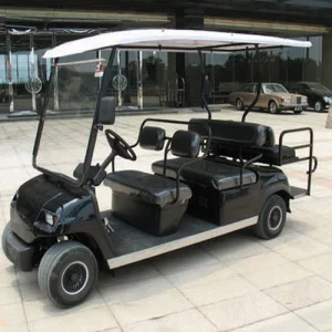 High-Speed 48V Electric Golf Cart with 22km/H Performance