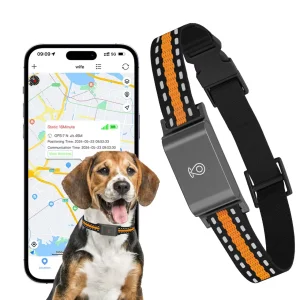 Real-Time GPS Collar