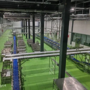 Meat Portioning Conveyor