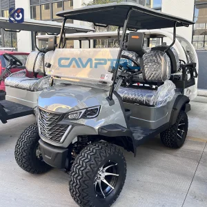 Gas Powered Buggy