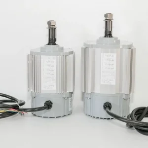 Brushless PM Motor