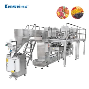 Versatile Bulk Food Packaging System with Multiple Units Multihead Weigher Packaging System