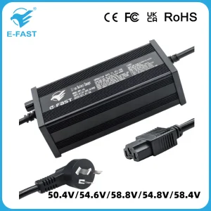 48V Series 13s Ebike Charger