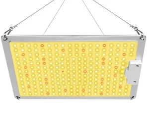 2022 New Grow Light