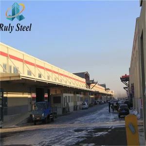 Heavy Steel Structure Warehousing and Distribution Center