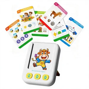 Phonics Toy
