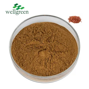 Sour Jujube Kernel Traditional Chinese Food Spine Date Seed Extract Powder