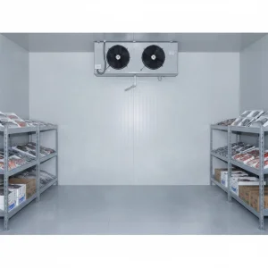 Factory Sales Cold Storage