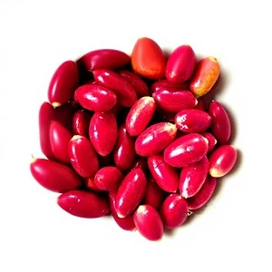 Fresh Organic Freeze Dried Miracle Berry Synsepalum Dulcificum Powder Premium Grade Nutraceutical Supplement Export From Benin
